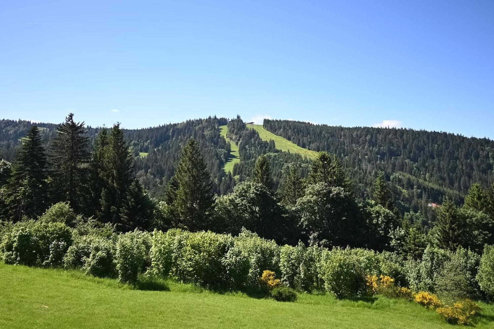 Le Nid Des Vosges - Appt Vue Montagne Appartement Gérardmer Buitenkant foto